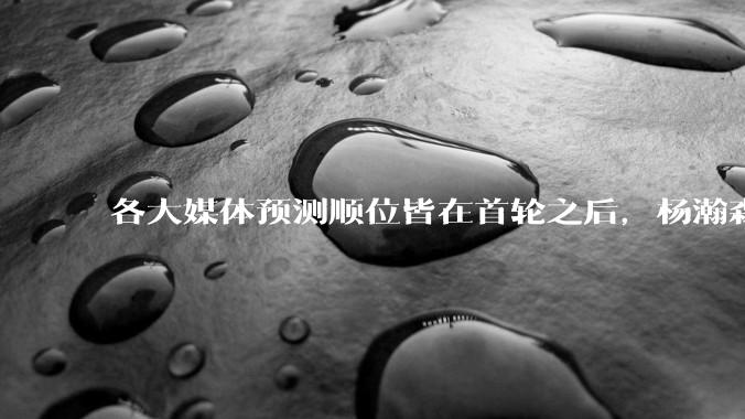 各大媒体预测顺位皆在首轮之后，杨瀚森实际顺位大涨是因为什么？