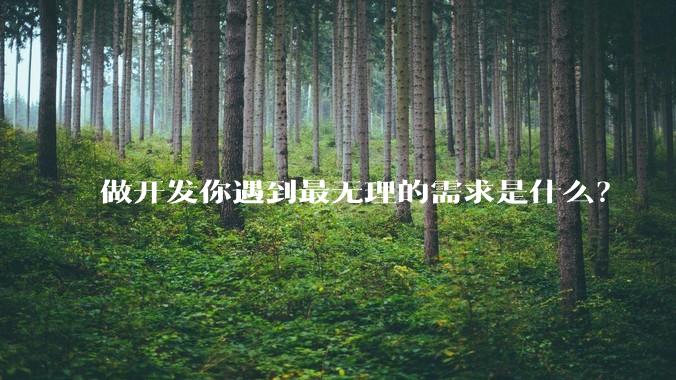 做开发你遇到最无理的需求是什么？