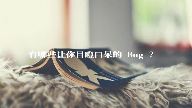 有哪些让你目瞪口呆的 Bug ？