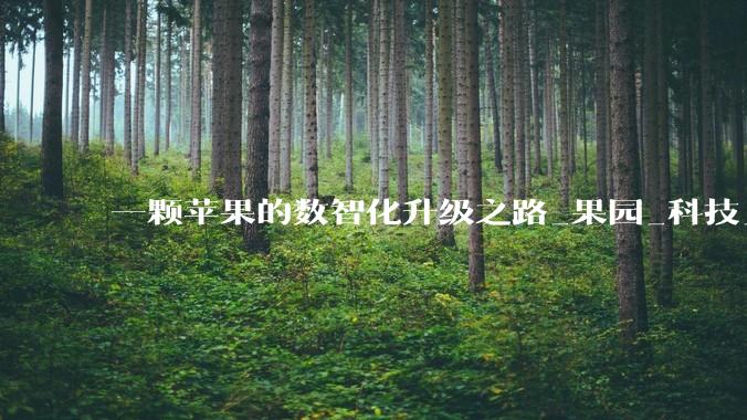 一颗苹果的数智化升级之路_果园_科技_公司