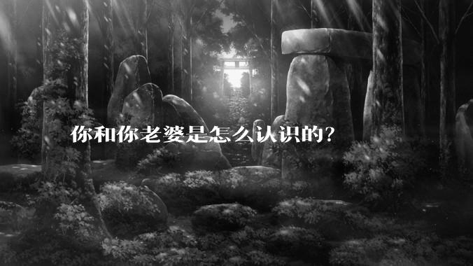 你和你老婆是怎么认识的？
