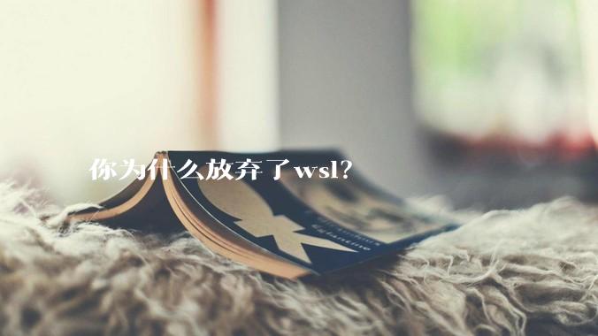 你为什么放弃了wsl？