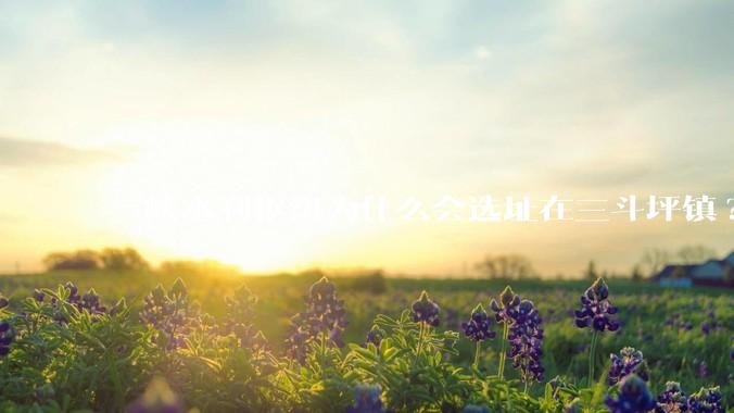 三峡水利枢纽为什么会选址在三斗坪镇?
