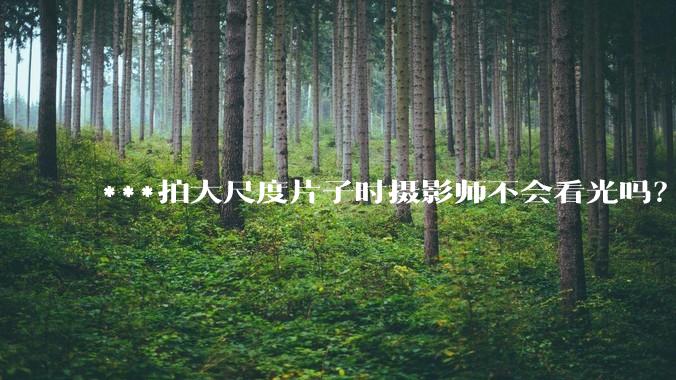 ***拍大尺度片子时摄影师不会看光吗？