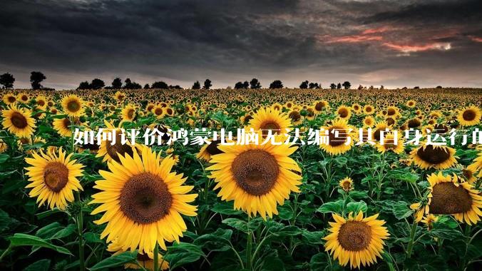 如何评价鸿蒙电脑无法编写其自身运行的程序？